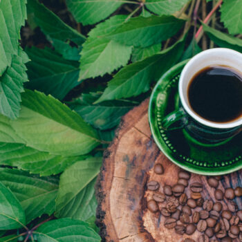 A cup of coffee on a cut tree with coffee beans and leaves.